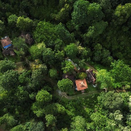 Mahout Resort Wayanad - An Experiential Jungle Stay With Waterfall Kalpetta Esterno foto