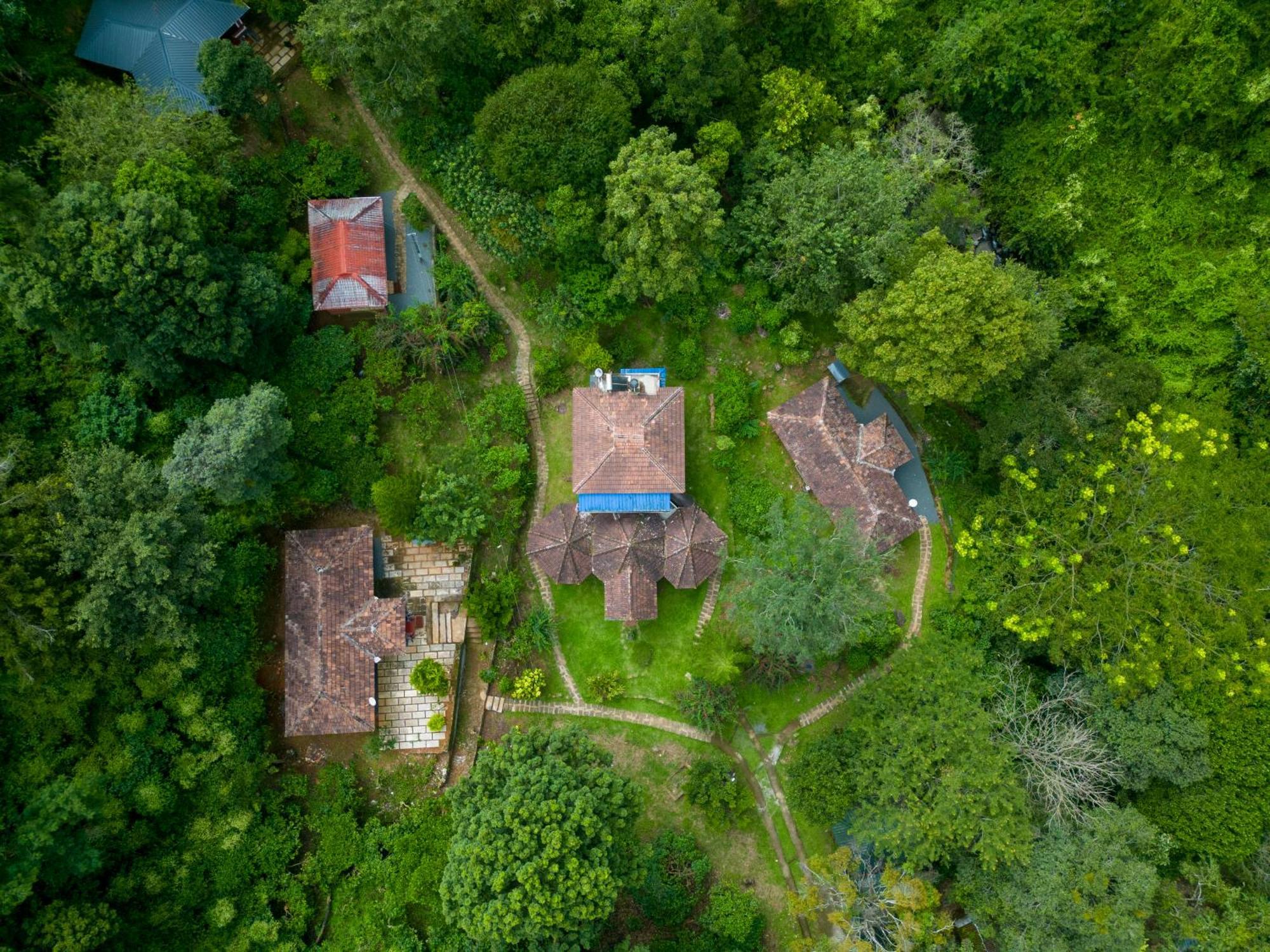 Mahout Resort Wayanad - An Experiential Jungle Stay With Waterfall Kalpetta Esterno foto