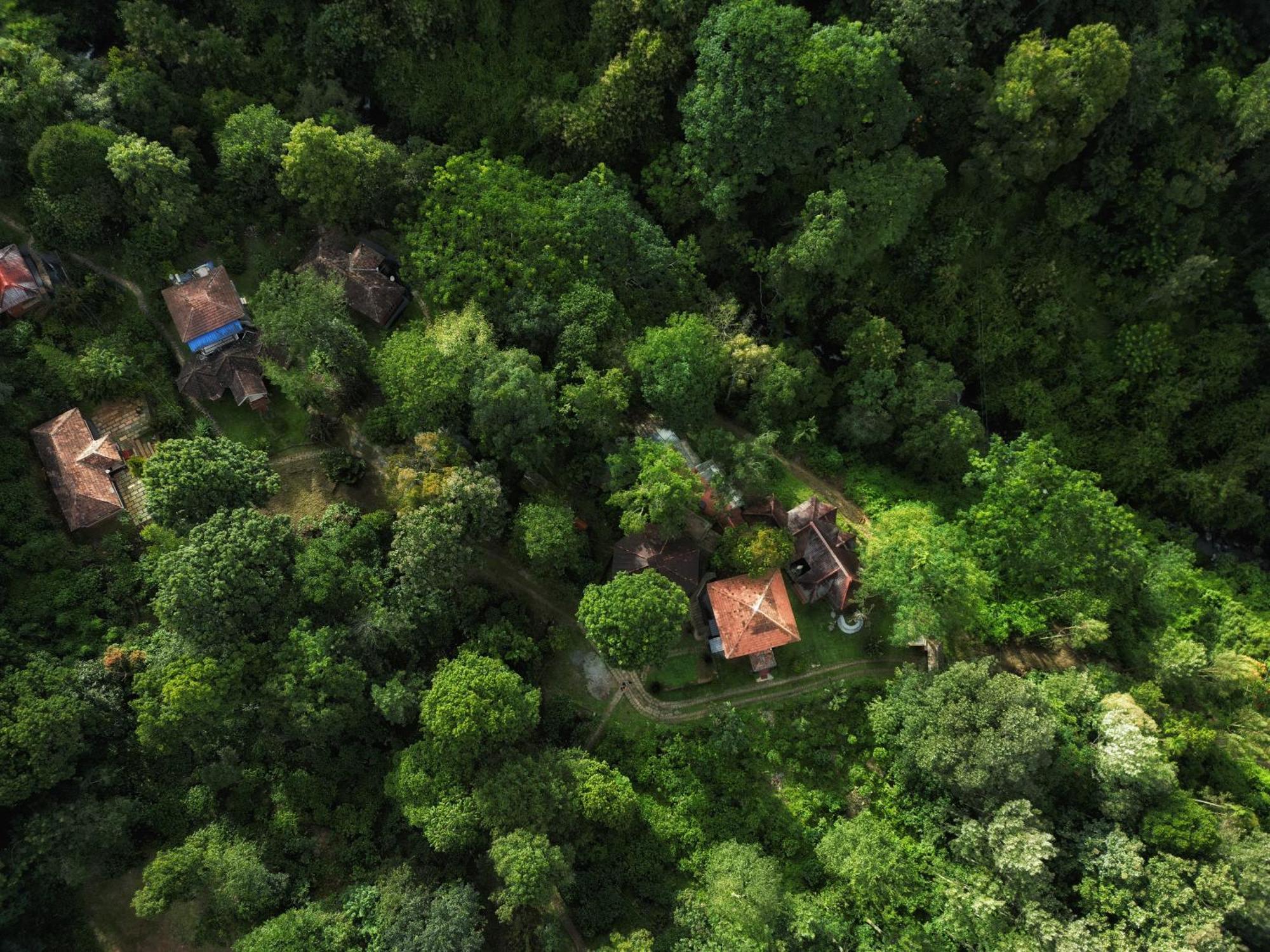 Mahout Resort Wayanad - An Experiential Jungle Stay With Waterfall Kalpetta Esterno foto