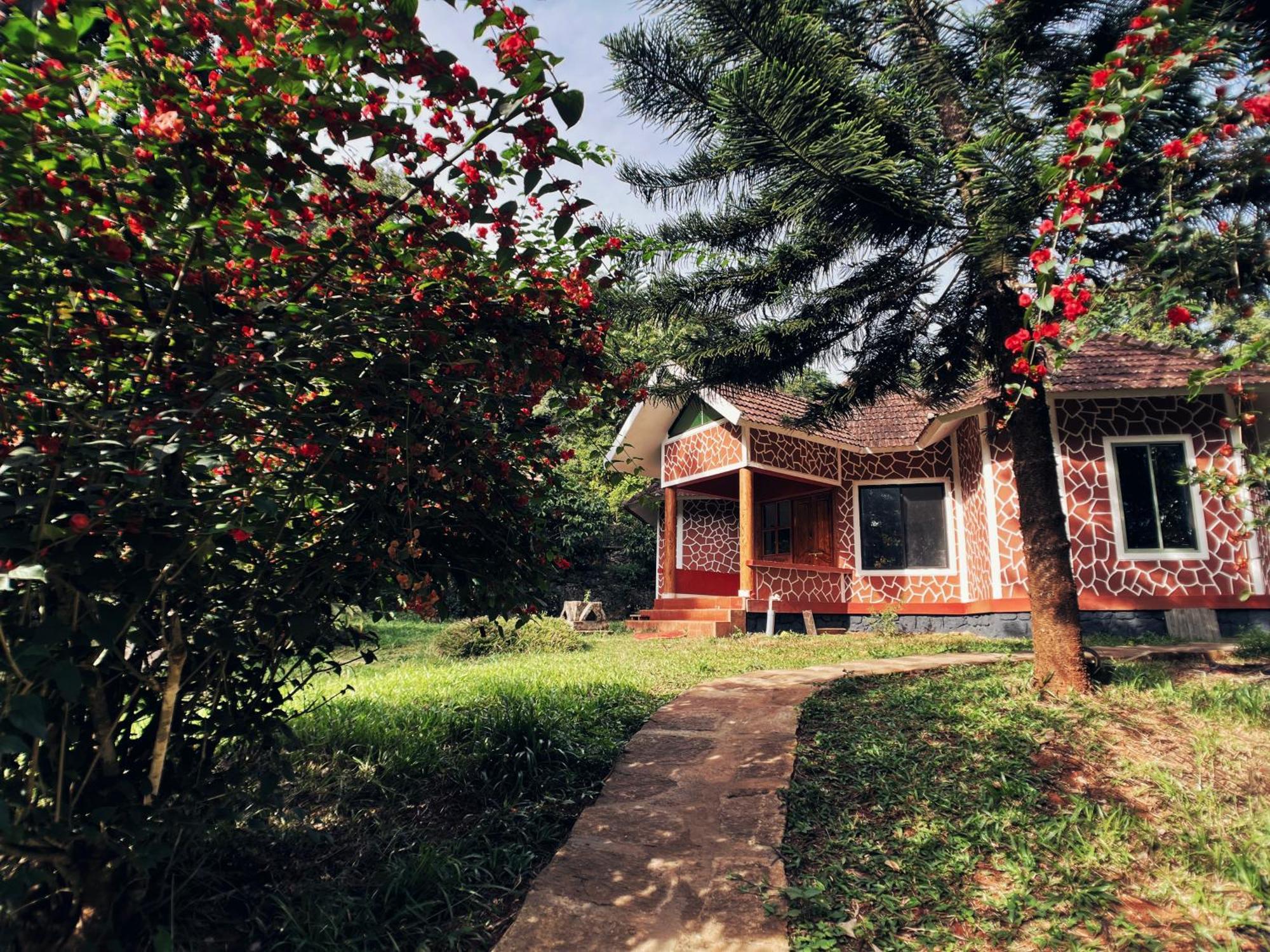 Mahout Resort Wayanad - An Experiential Jungle Stay With Waterfall Kalpetta Esterno foto