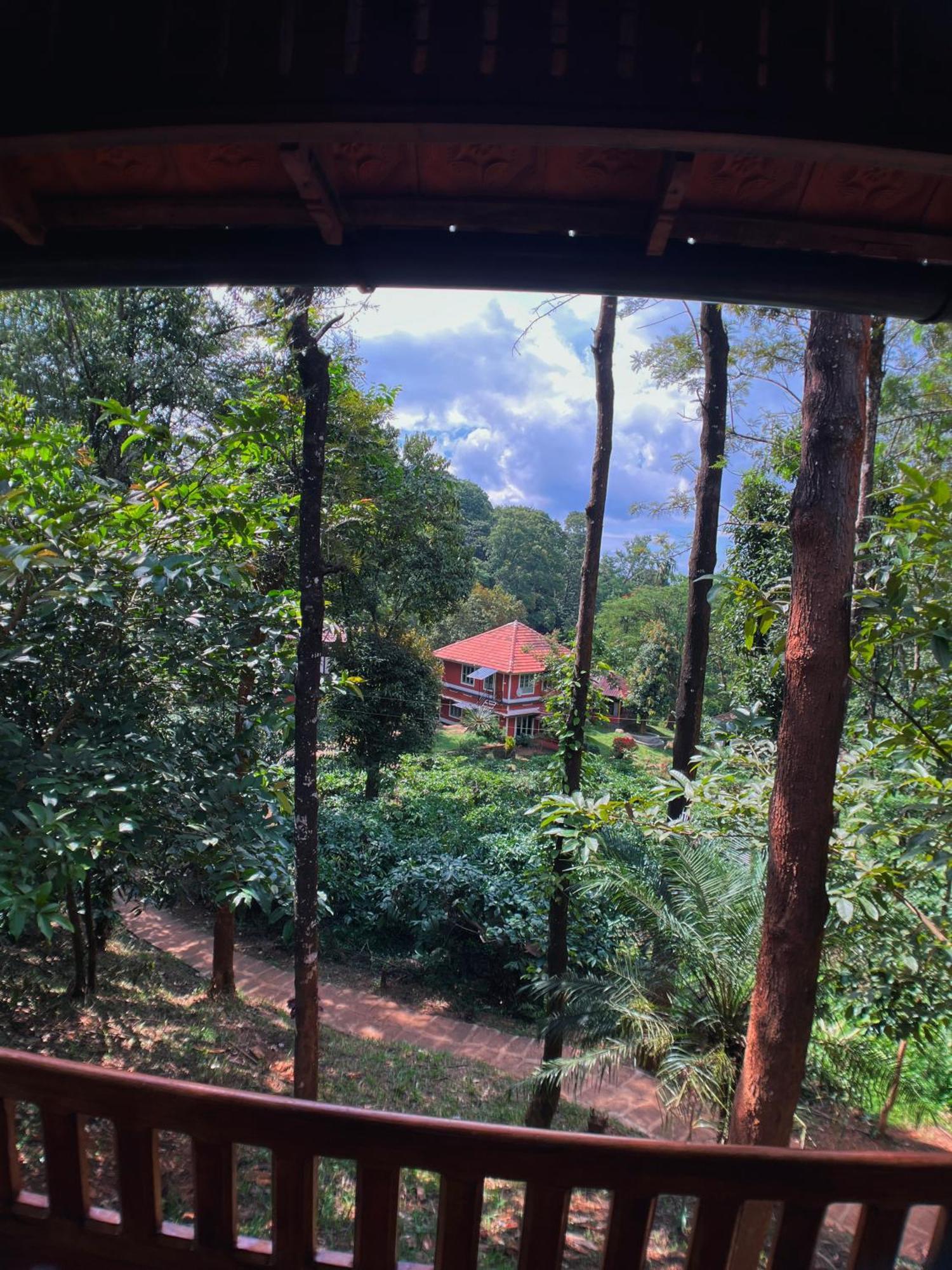 Mahout Resort Wayanad - An Experiential Jungle Stay With Waterfall Kalpetta Esterno foto