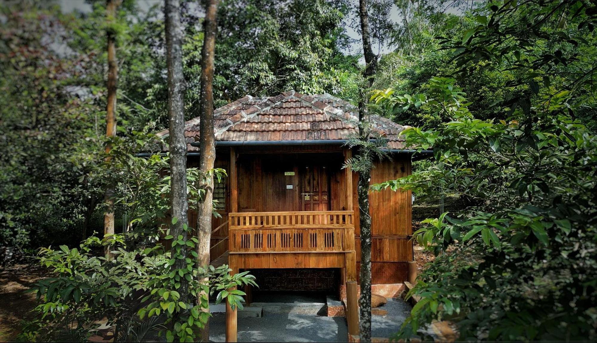 Mahout Resort Wayanad - An Experiential Jungle Stay With Waterfall Kalpetta Esterno foto